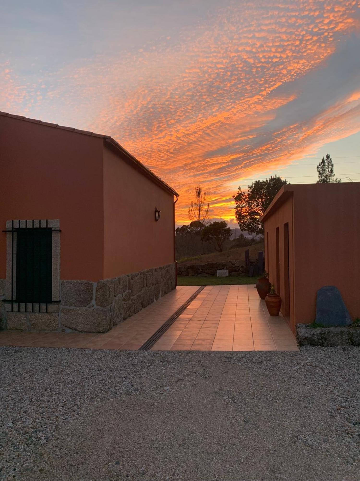Quinta Dos Cedros L Turismo Rural Covilhã Exterior foto